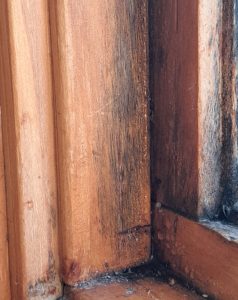 Mildew on wood window frame